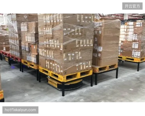 引入AGV机器人后，体育用品中心仓的单日峰值订单处理量被证实提升了220%